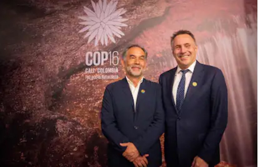 COP16: Noruega anuncia US $20 millones a Colombia para combatir la deforestación